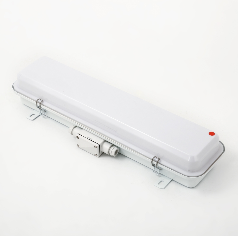 Marine Pendant Light JCY23-2L Used For Ship 20W 30W With CCS Certificate